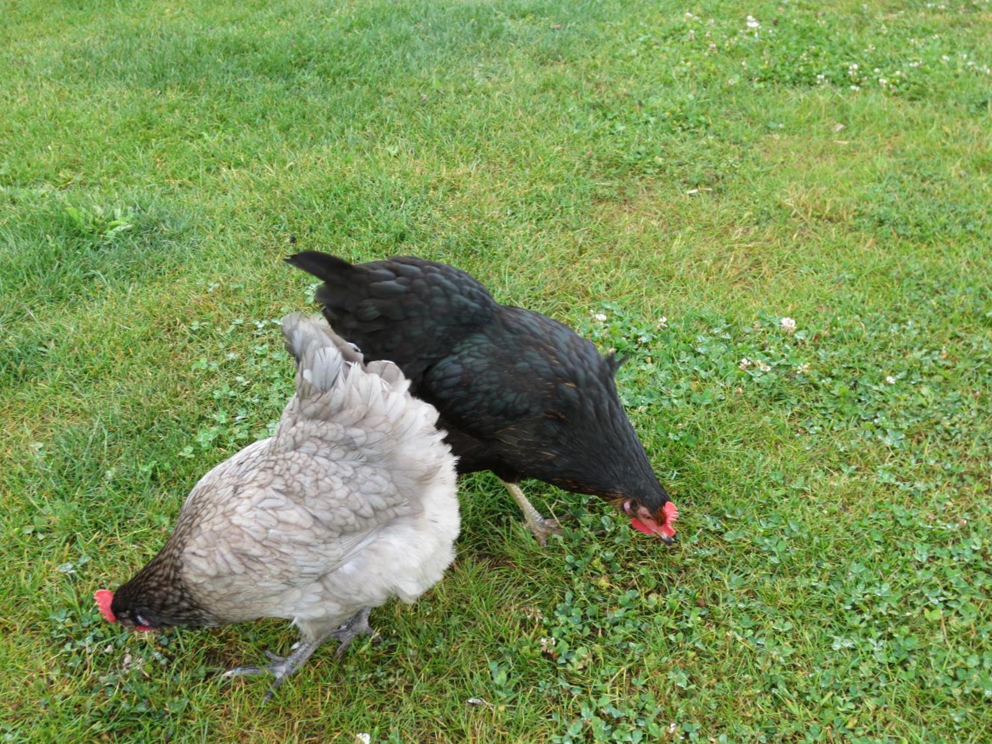 Ferienhaus Le Poullou *