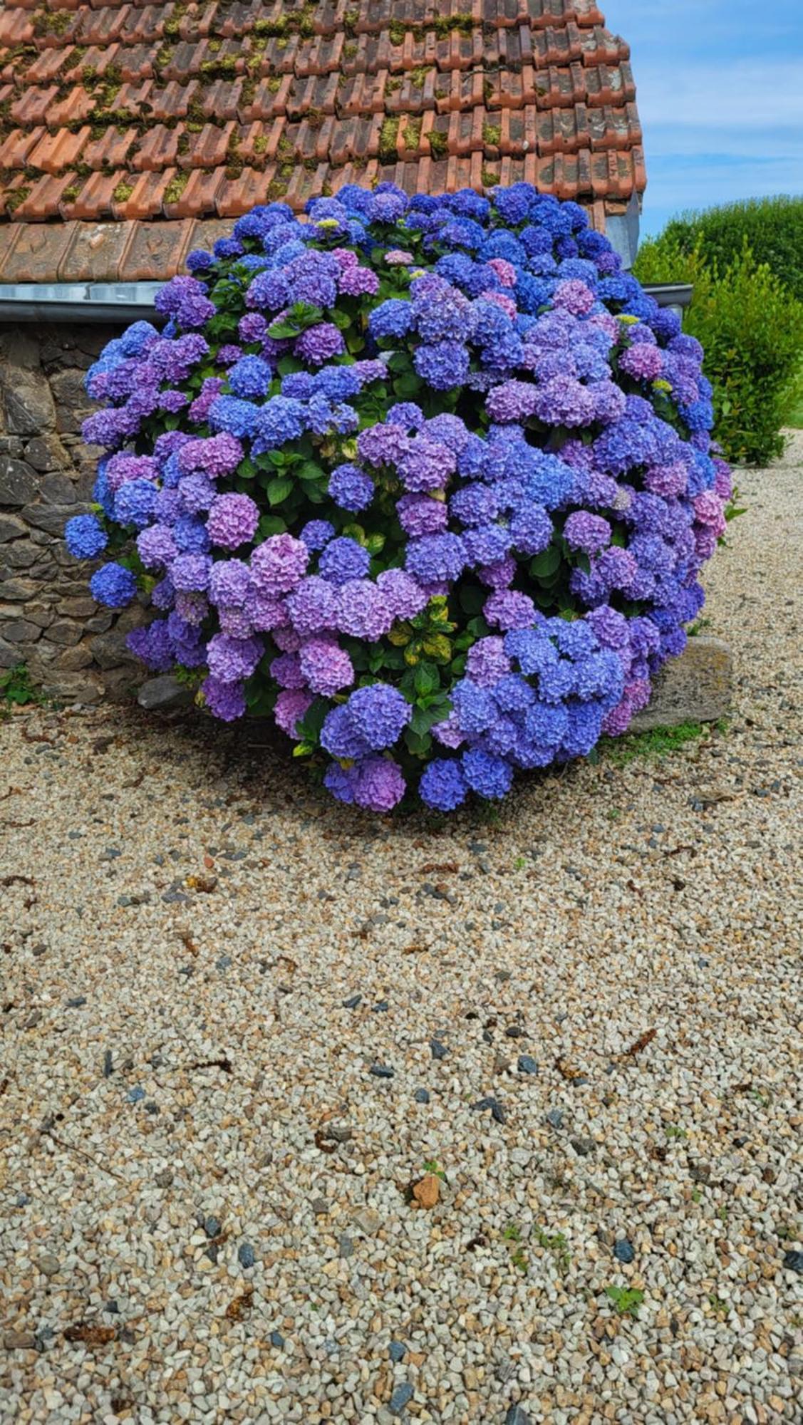 Le Poullou Paimpol